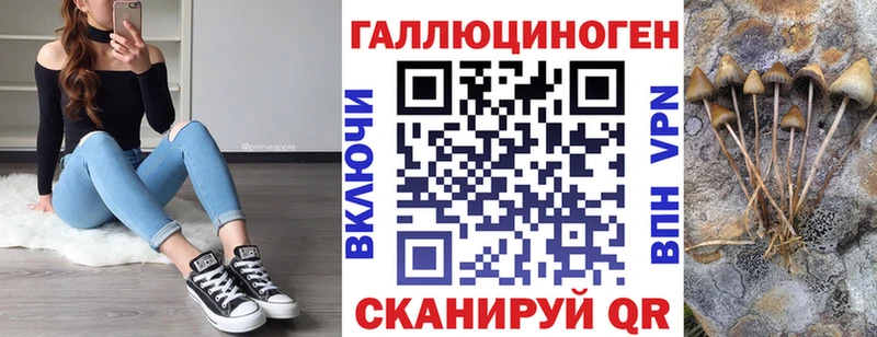 купить закладку Бугуруслан Псилоцибиновые грибы прущие грибы